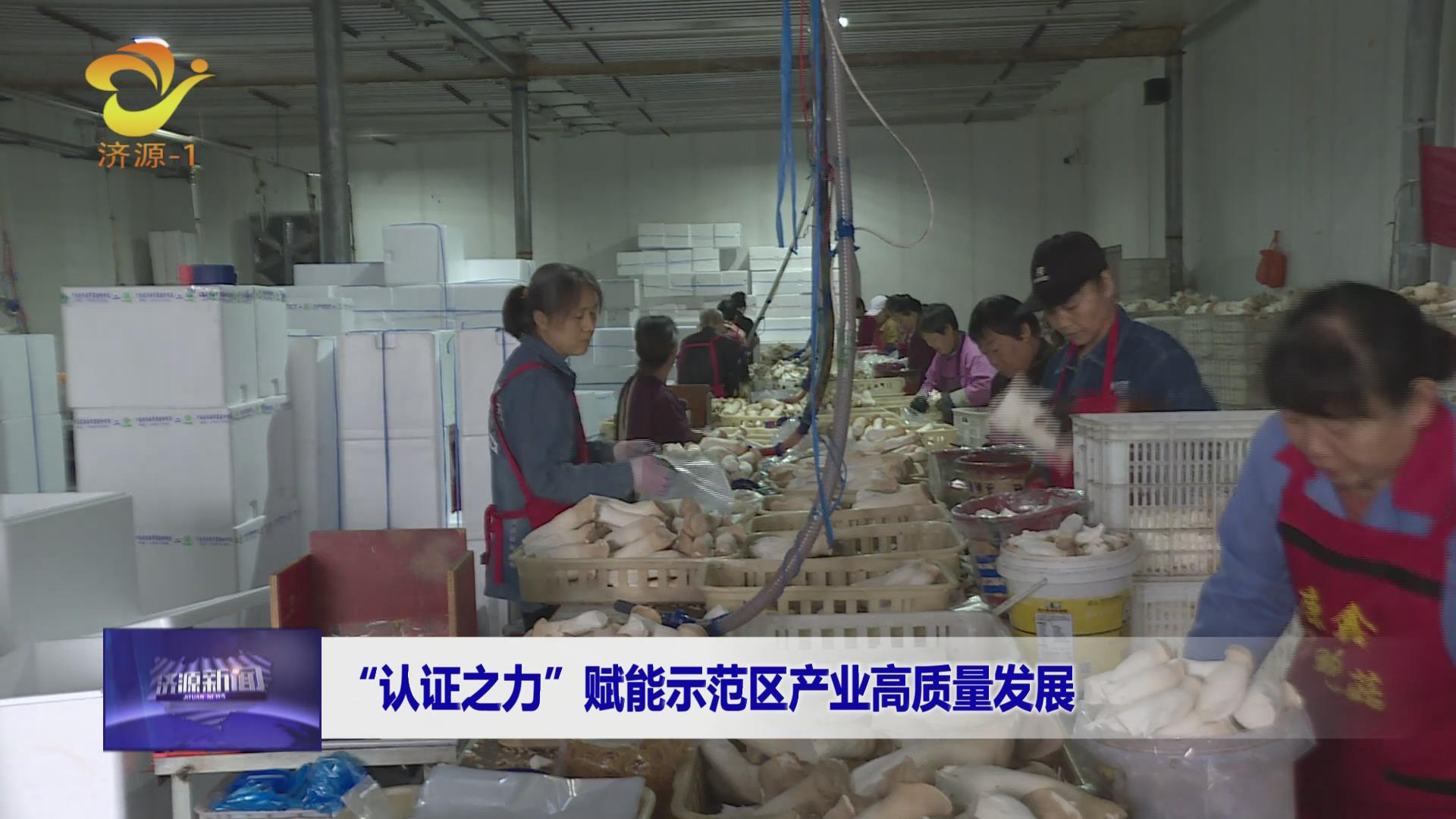 濟(jì)源網(wǎng)