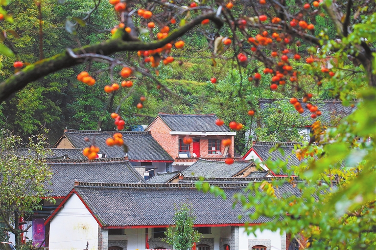 濟(jì)源網(wǎng)