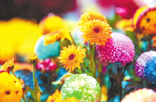 濟(jì)源網(wǎng)