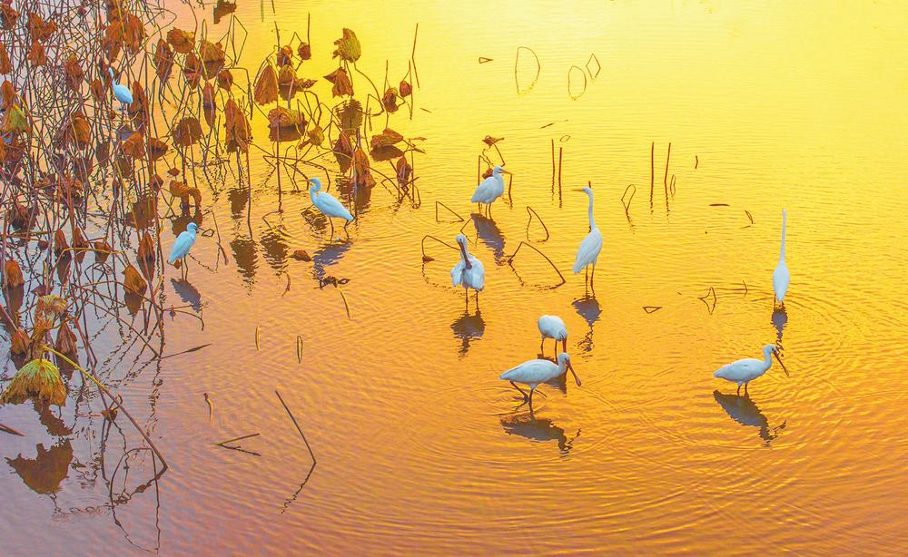 濟(jì)源網(wǎng)