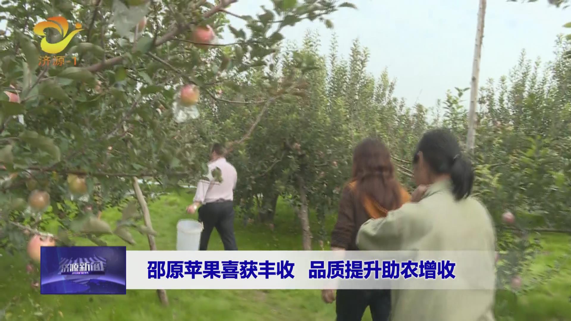 濟(jì)源網(wǎng)