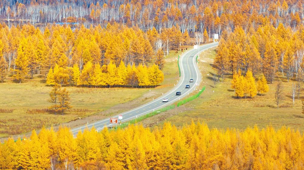 濟(jì)源網(wǎng)