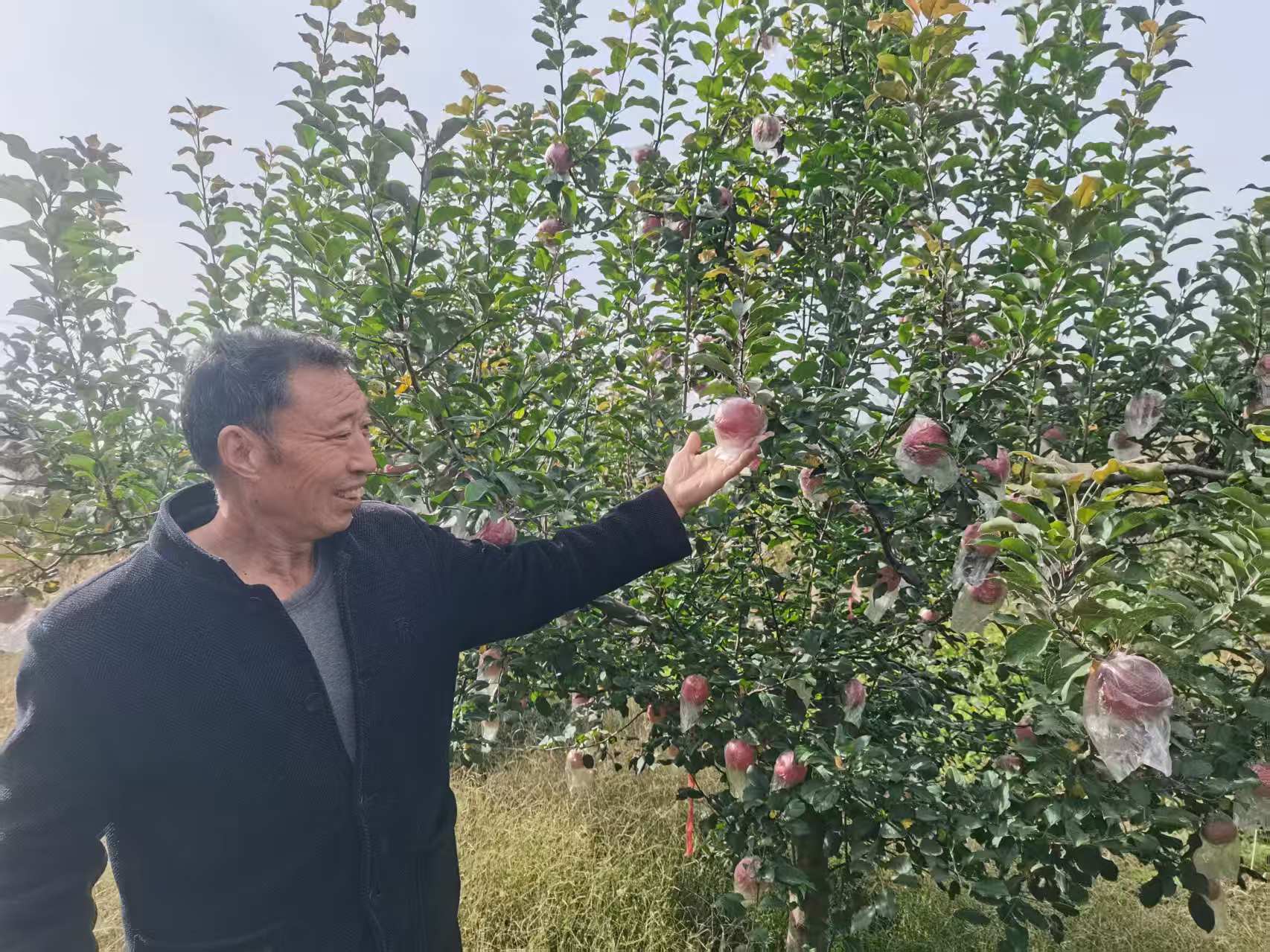 b227453611b3ea5f493aae3cc36fe489.jpg b227453611b3ea5f493aae3cc36fe489.jpg