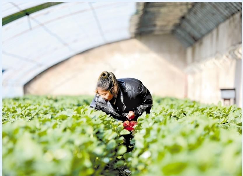 濟(jì)源網(wǎng)