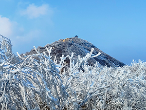 濟(jì)源網(wǎng)