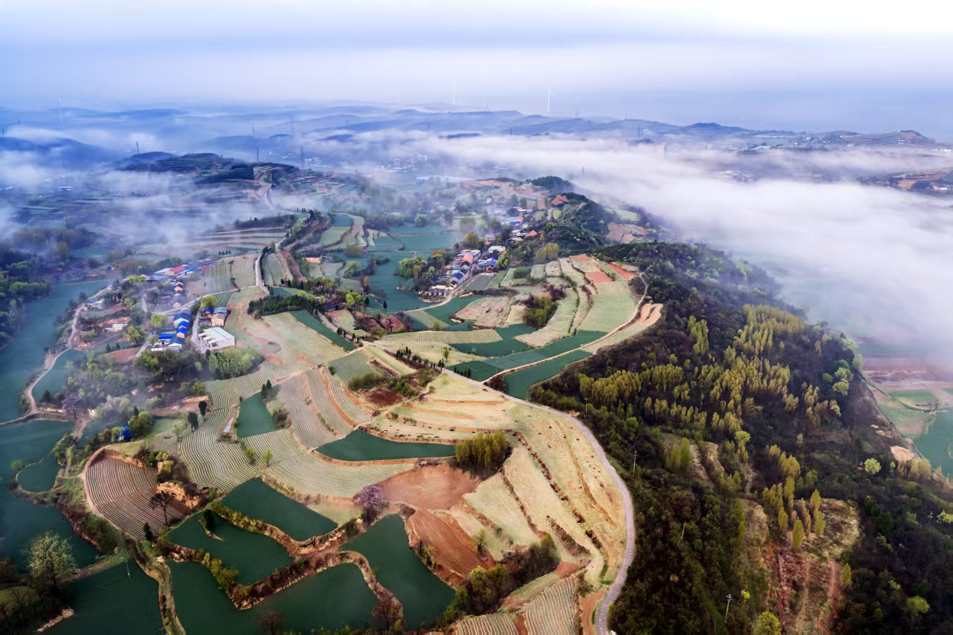 濟(jì)源網(wǎng)