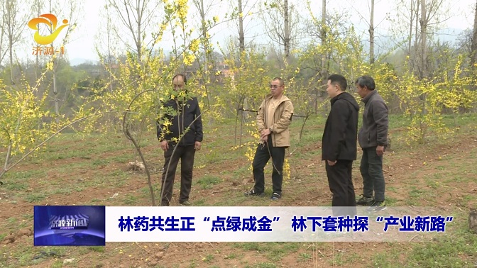 濟(jì)源網(wǎng)