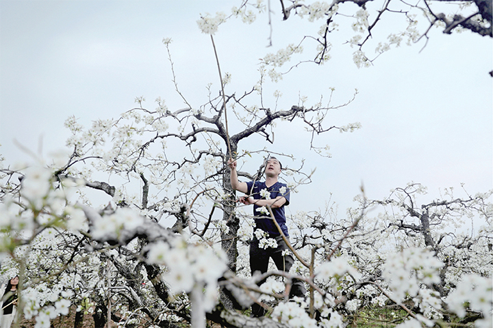 濟(jì)源網(wǎng)